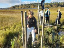 Brožová - 46af0c7b-ff2a-41cc-825a-c2f5a0f662a9