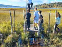 Brožová - a54d0719-81c6-41c0-9d3d-8ee4ca6b3957