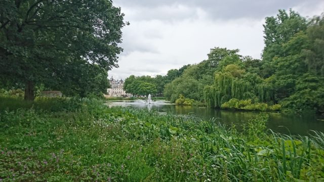 Anglie_2019 - DSC_2855.jpg