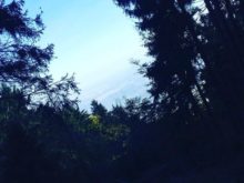 Chrobak - Klet-6C-6.jpg