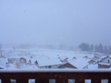 Fikejs - IMG_0247.jpg