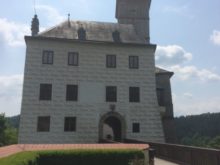 Rafty - IMG_0367.jpg