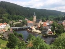 Rafty - IMG_0368.jpg