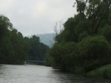 Rafty - IMG_0376.jpg