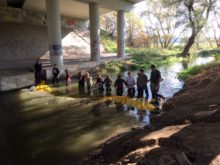 Workshop_Třeboň - Norna-stena_1.jpg