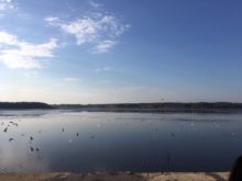 Workshop_Třeboň - Velky-Tisy.jpg