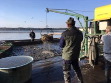 Workshop_Třeboň - Vylov_1.jpg