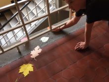 Podzimní_výzdoba_školy - 4.jpg