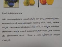 domacivzdelavani - c.6