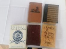 Vysokomýtská - IMG_20230417_165927