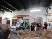 Vysokomýtská - IMG_20240523_084907