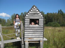 Vysokomýtská - IMG_8414