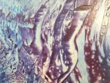 DOD_27.3.2018 - IMG_20180327_185022.jpg