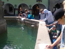 Projektový_den - IMG_20180507_115659.jpg