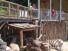Němcová - IMG_20180604_130823.jpg