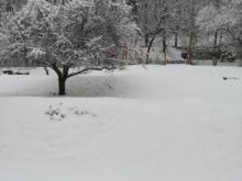 zima - IMG_20190110_131339.jpg