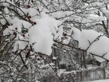 zima - IMG_20190110_131408.jpg