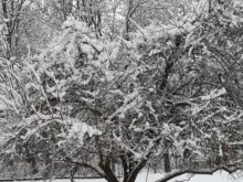 zima - IMG_20190110_131424.jpg