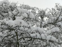 zima - IMG_20190110_135854.jpg