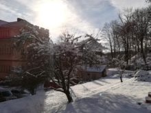 zima - IMG_20190111_134109.jpg