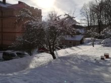 zima - IMG_20190111_134706.jpg