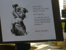 novakova - Cesta-do-knihovny-7.jpg