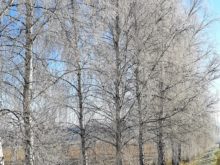 Vánoce - 20201127_111135