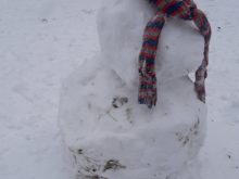 zima - 20210106_141932