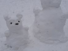 zima - 20210106_144208