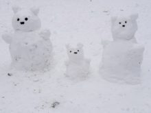 zima - 20210106_144827