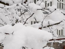 zima - 20210111_192445