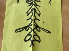 Sdileni_dobre_praxe_v_matematice - IMG_1775