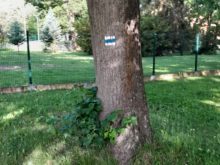 Cesta - 20220616_080652