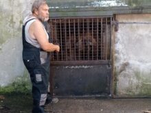 zimekova - IMG_20230629_104637