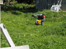 Paintball - P9062736
