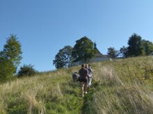 Křižák - Krizak_01