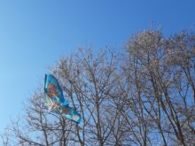 Drakiáda - 20231123_134658