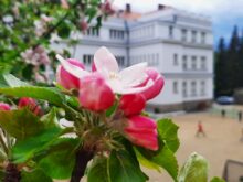 Jaro - 20230511_134032