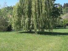 Zdravověda - 20240513_113321