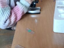 Ekologicko_přírodovědný_kroužek - IMG20250121152341