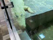 skolnivyletprotivin - f.-4