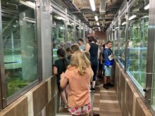 skolnivyletprotivin - f.-5