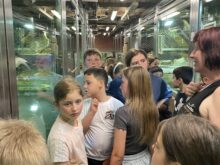 skolnivyletprotivin - f.1