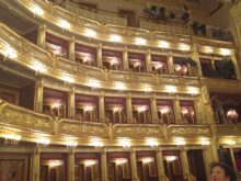 Zimekova - IMG_20250604_132702