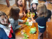 Dvořáková - 20230601_102556