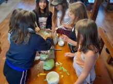 Dvořáková - 20230601_103359