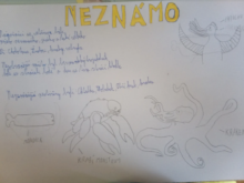 Brožová - 2021-03-15_13h45_301