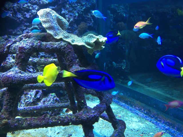 Anglie_2019 - IMG-20190613-WA0028.jpg