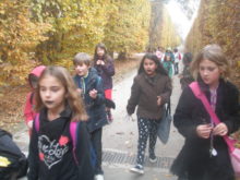 Šipkovaná - S.-5.jpg