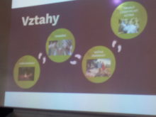 Přívratská - 7.jpg